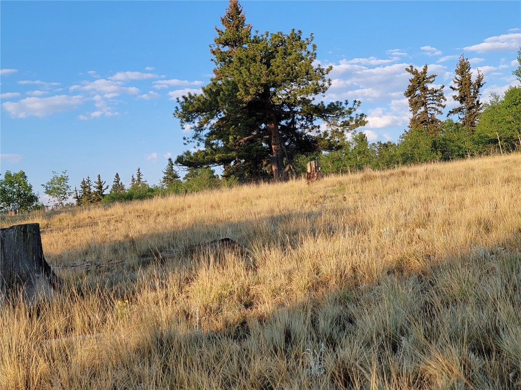 22 Teton Trail Como, CO 80432 - Photo 19 of 38 a view of a lake from a yard