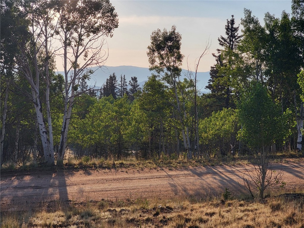 22 Teton Trail Como, CO 80432 - Photo 21 of 38 a view of a yard with large tree