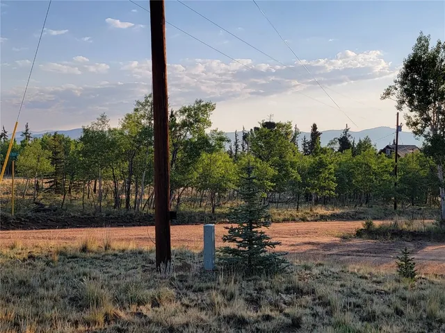 a view of a yard next to a road