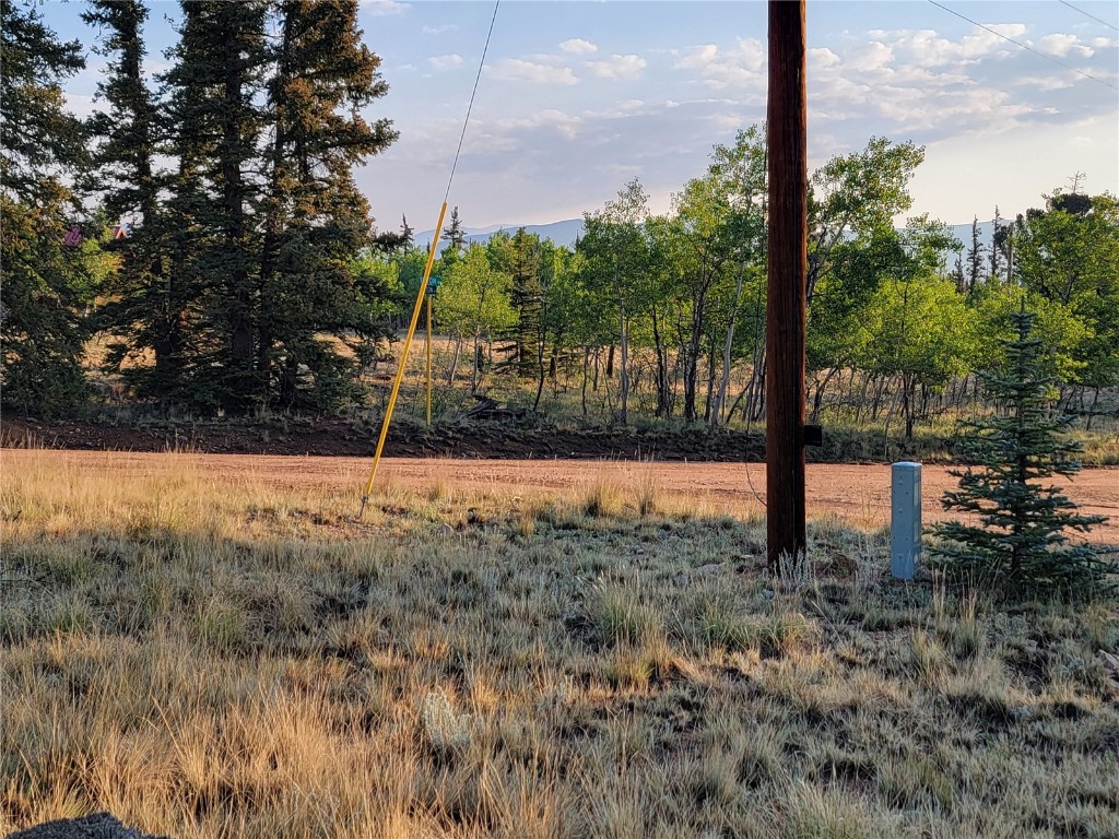 22 Teton Trail Como, CO 80432 - Photo 23 of 38 a view of a yard with a tree