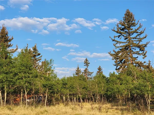 a view of a backyard of a house