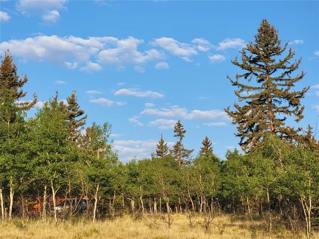 a view of a backyard of a house