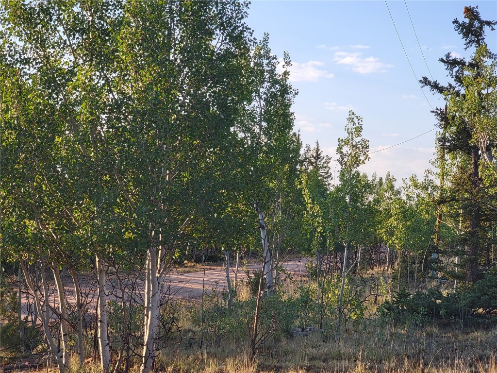 22 Teton Trail Como, CO 80432 - Photo 29 of 38 a view of a forest filled with trees