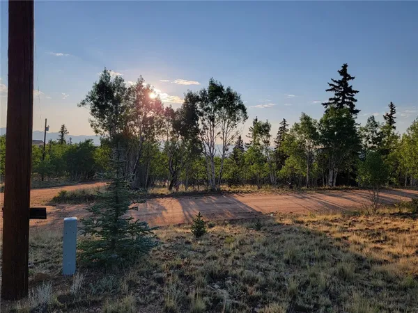 a view of a tree in a field with a tree in the background