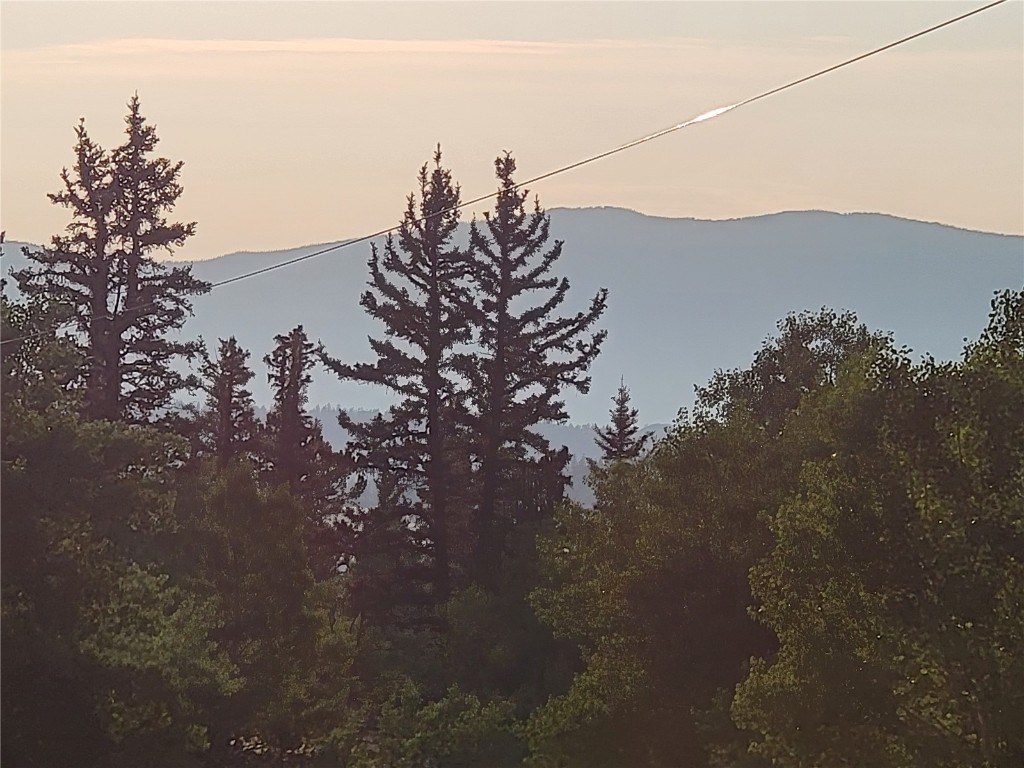 22 Teton Trail Como, CO 80432 - Photo 34 of 38 a view of a tree in a field with a tree in the background