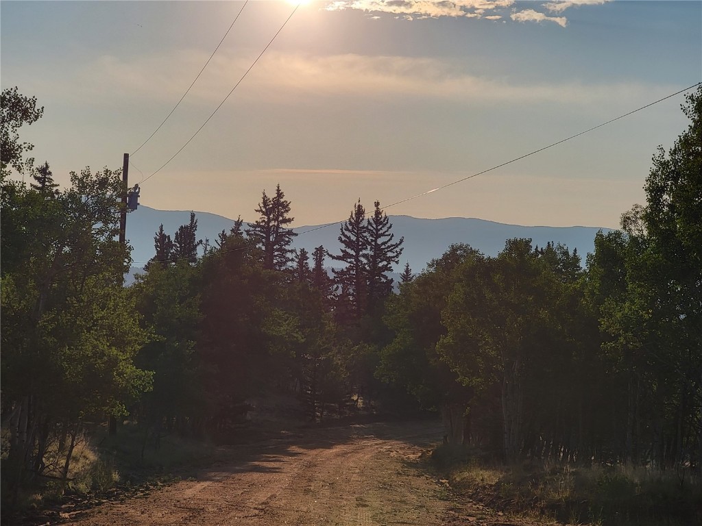 22 Teton Trail Como, CO 80432 - Photo 35 of 38 a view of a yard