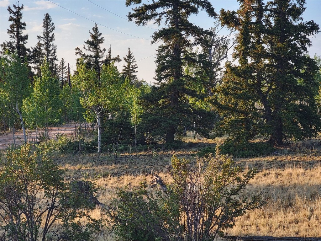 22 Teton Trail Como, CO 80432 - Photo 36 of 38 a view of a forest with trees