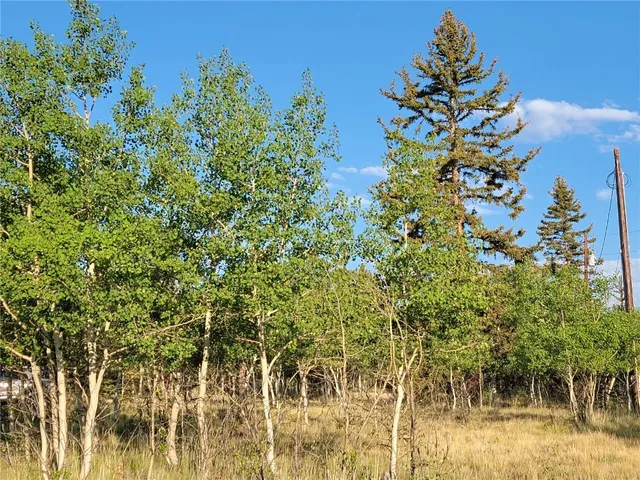 a view of a yard covered with snow in the background