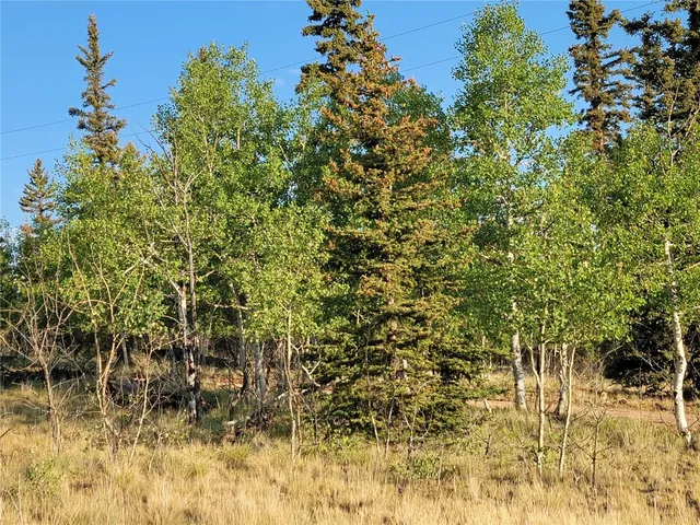 a view of a with a tree in front of a yard
