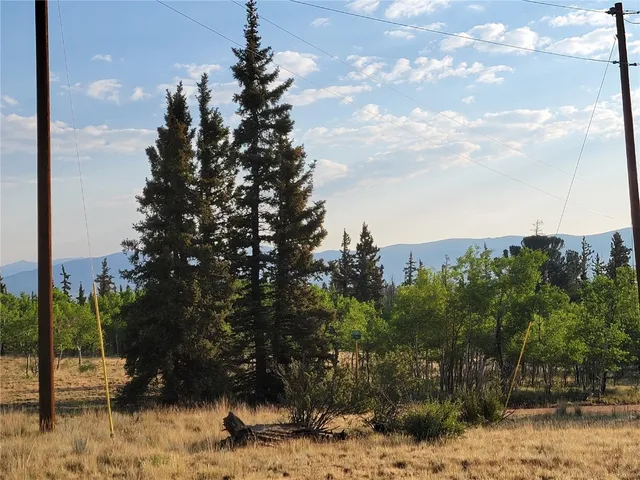a view of a yard with palm tree