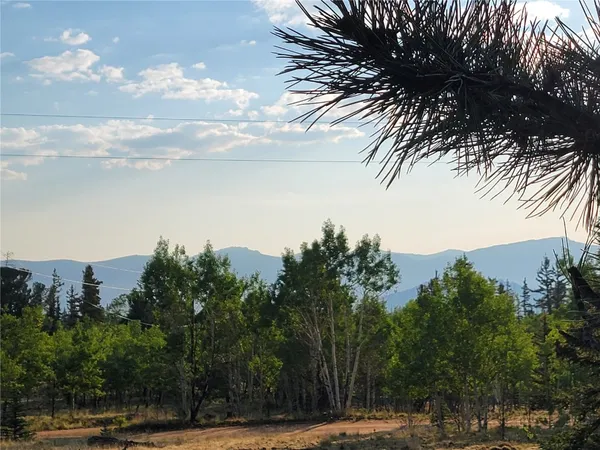 a view of a tree with a house