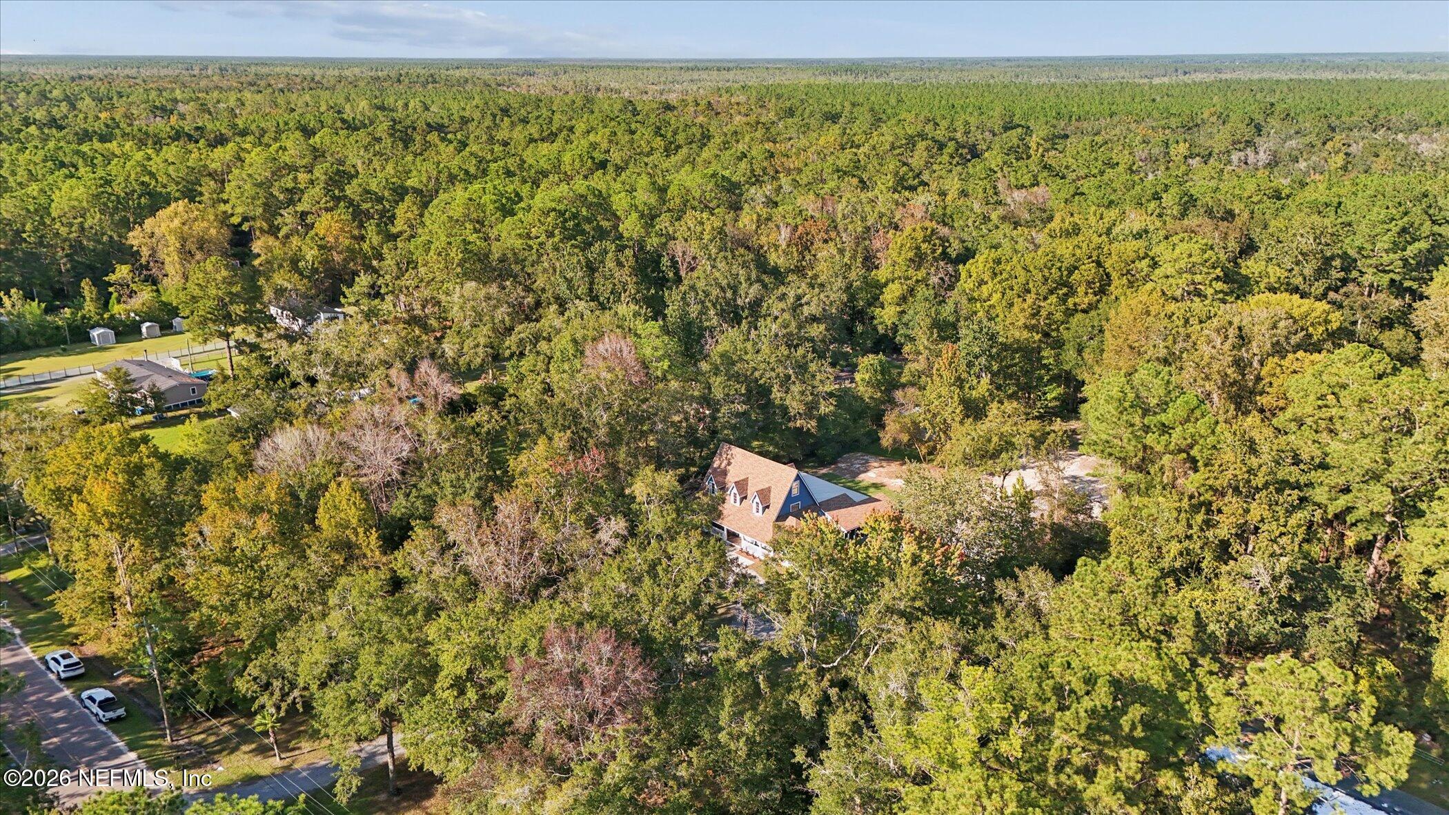 3121 Lannie Road Jacksonville, FL 32218 - Photo 64 of 68 a view of a green field with lots of bushes