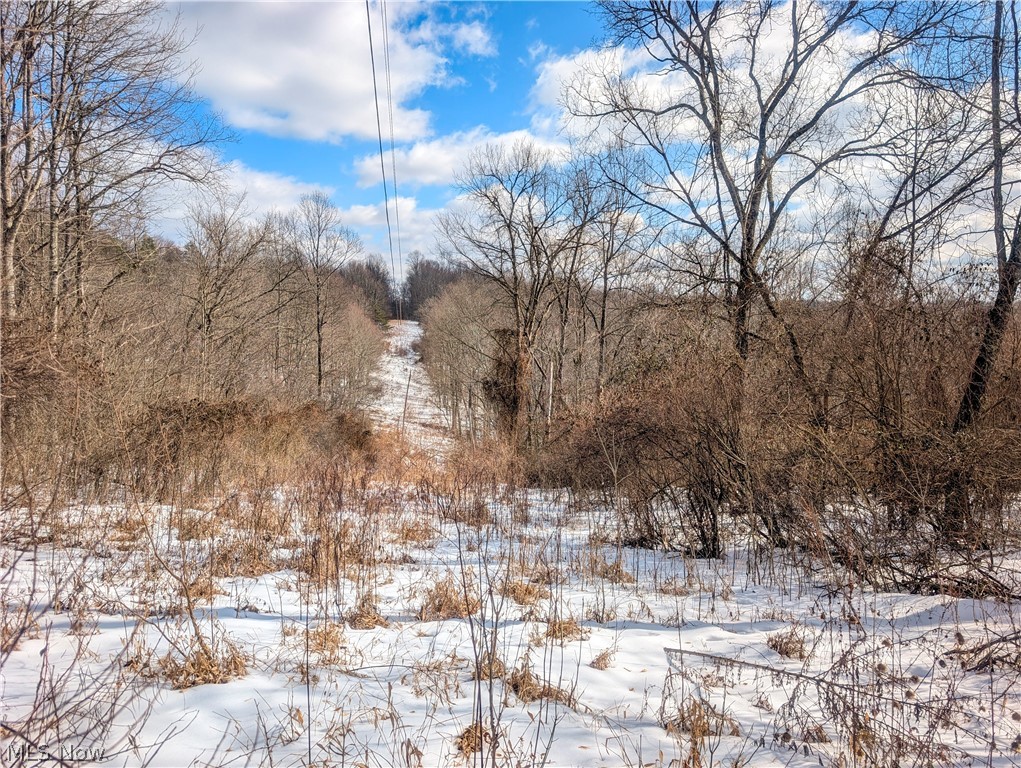 13 Ayers Ridge Lower Salem, OH 45745 - Photo 1 of 32 View of local wilderness