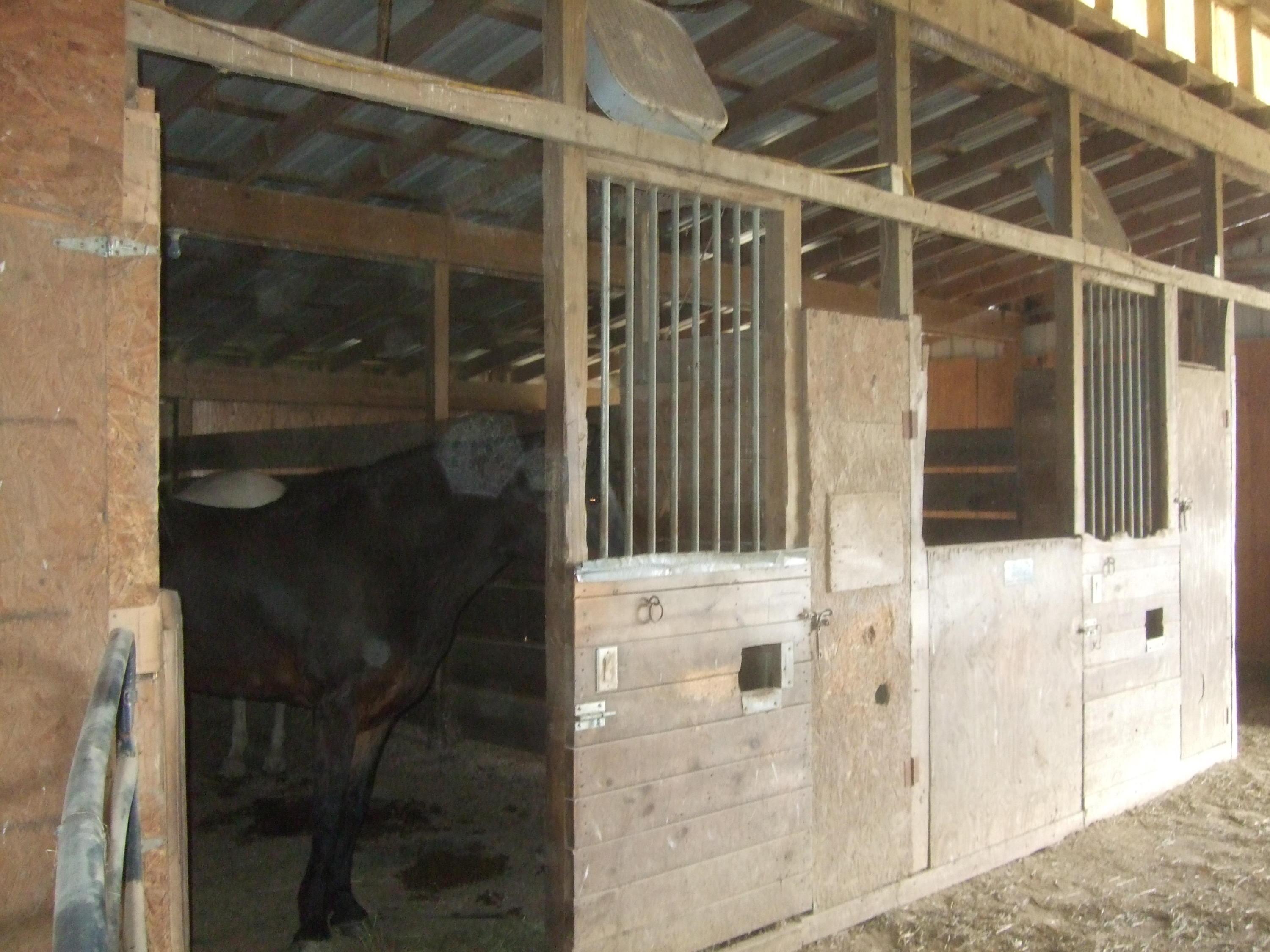 21600 Johnson Road Raymond, OH 43067 - Photo 13 of 33 Gallery Image 13