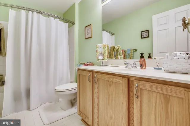 a bathroom with a sink a toilet and shower curtain