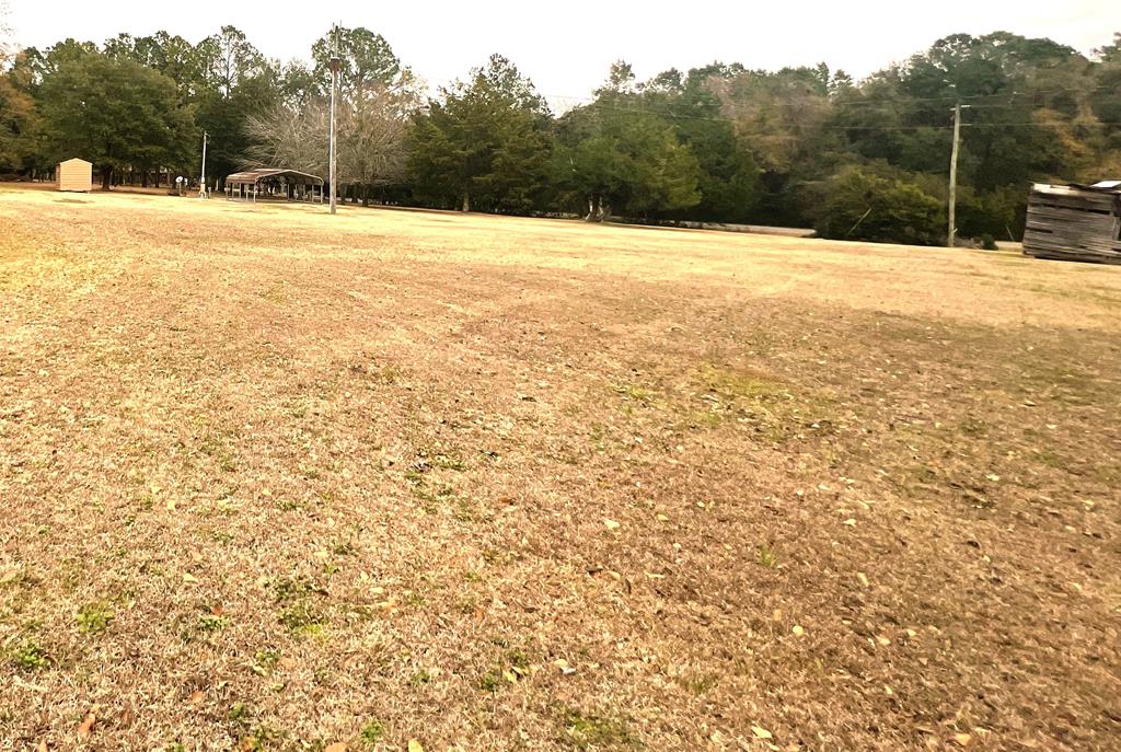 3.97-acr Beaty Road Pavo, GA 31778 - Photo 16 of 37 Gallery Image 16