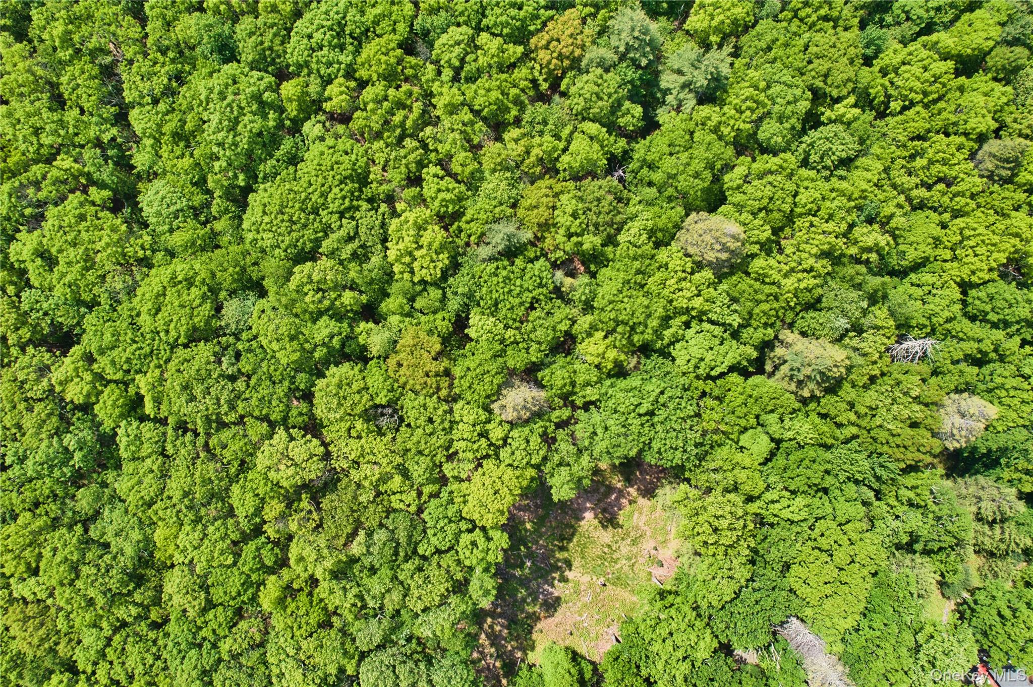 Jersey Road Wurtsboro, NY 12790 - Photo 4 of 7