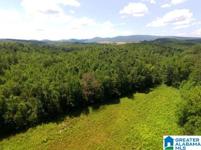 436 Newbury's Road, Unit 79 ACRES Ashland, AL 36251 - Photo 9 of 27