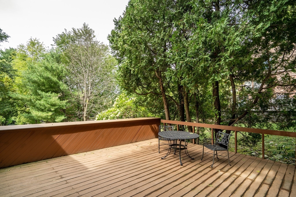 28 Laudholm Road Newton, MA 02458 - Photo 30 of 34 Gallery Image 30