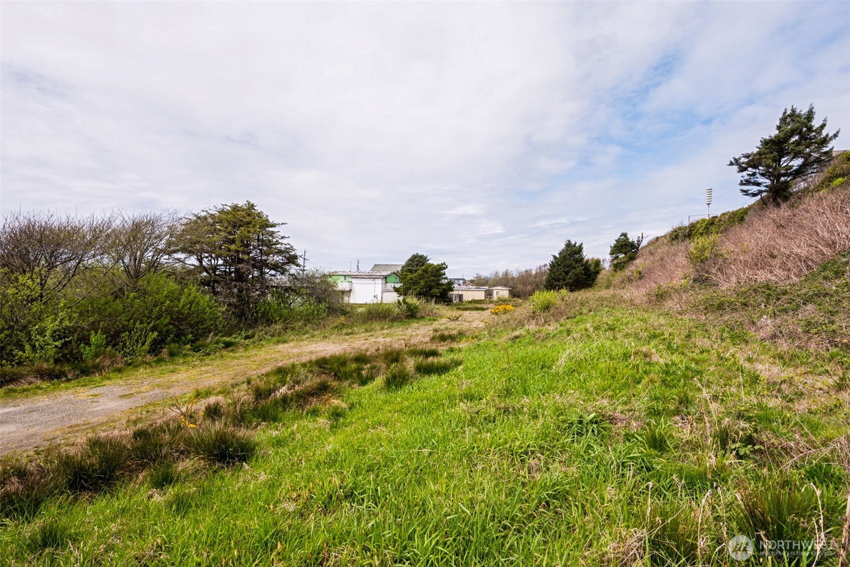4784 Beach Lane Moclips, WA 98562 - Photo 4 of 10 a view of a field with a tree