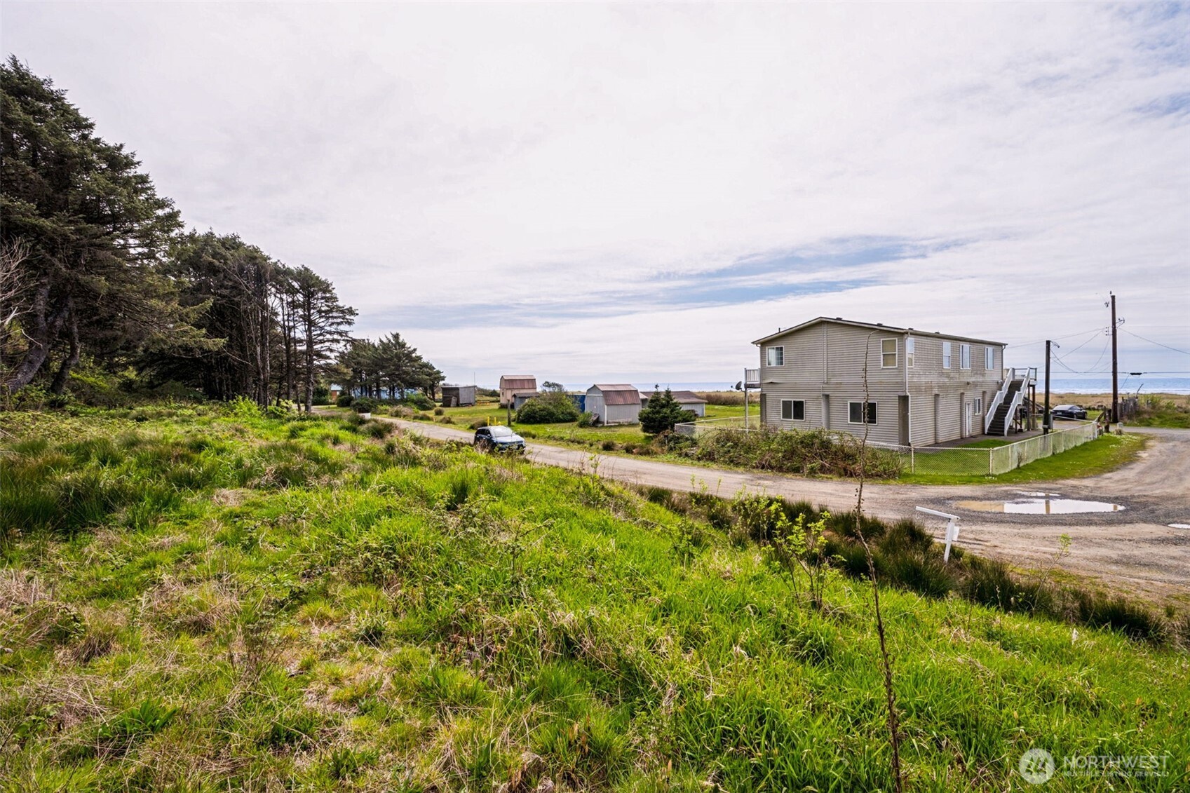 4784 Beach Lane Moclips, WA 98562 - Photo 5 of 10 a view of a big yard with plants and large trees