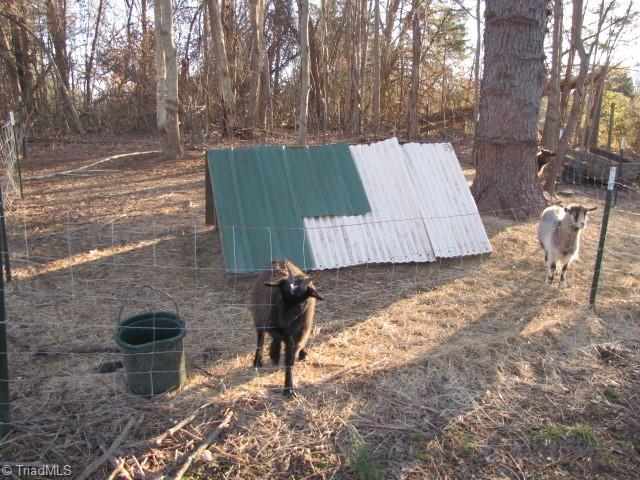 830 Beck Road Eden, NC 27288 - Photo 15 of 38 Gallery Image 15