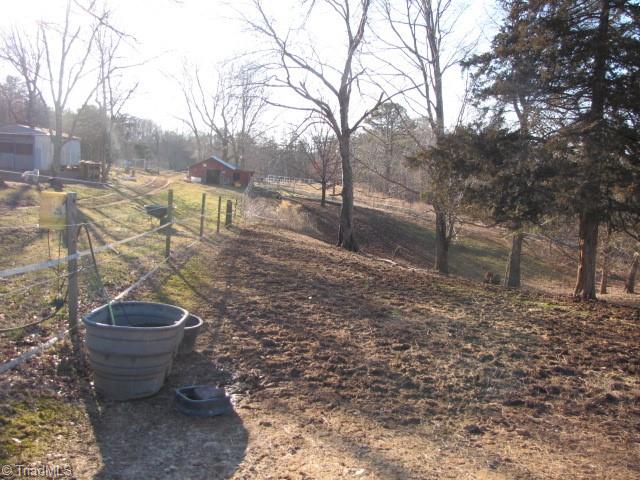 830 Beck Road Eden, NC 27288 - Photo 3 of 38 Approximately 17 acres of pastureland.