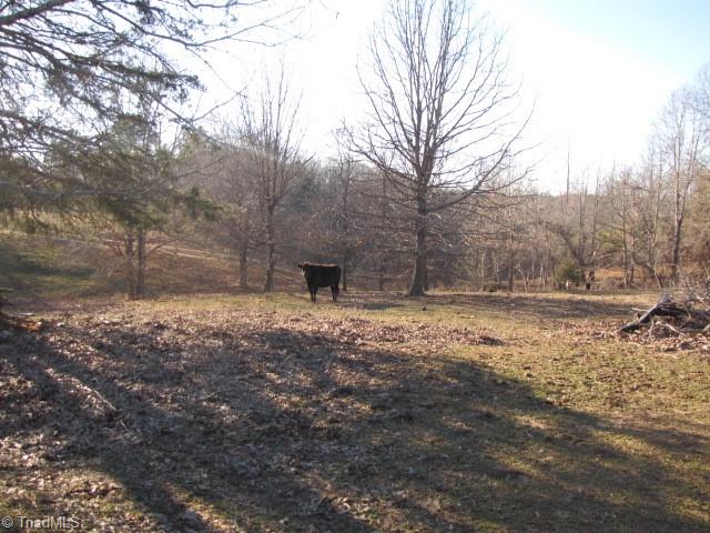 830 Beck Road Eden, NC 27288 - Photo 5 of 38 Gallery Image 5