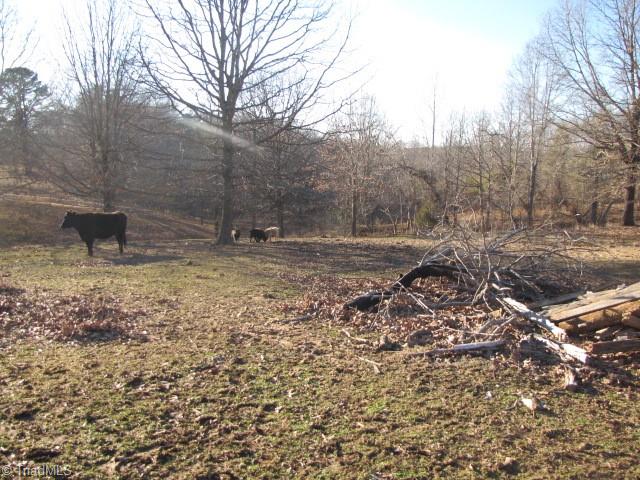 830 Beck Road Eden, NC 27288 - Photo 6 of 38 Gallery Image 6