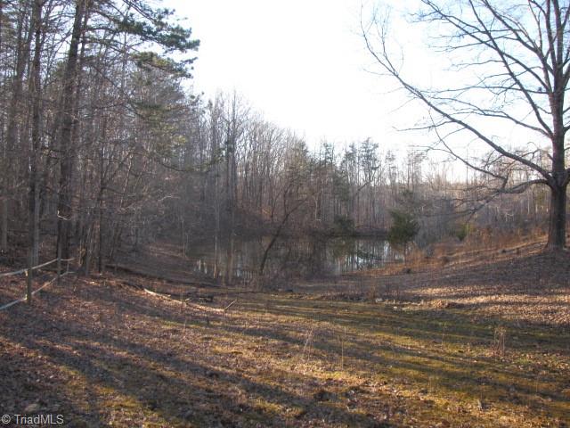 830 Beck Road Eden, NC 27288 - Photo 7 of 38 View of large pond stocked with blue gills, crappie, bass and hybrid blue gills.