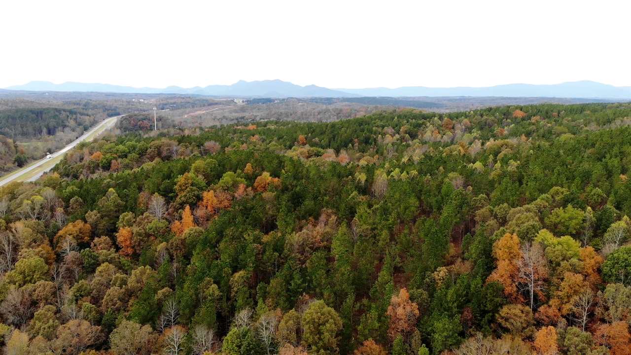 98-acres 98-acres Zion Road Rutherfordton, NC 28139 - Photo 1 of 22