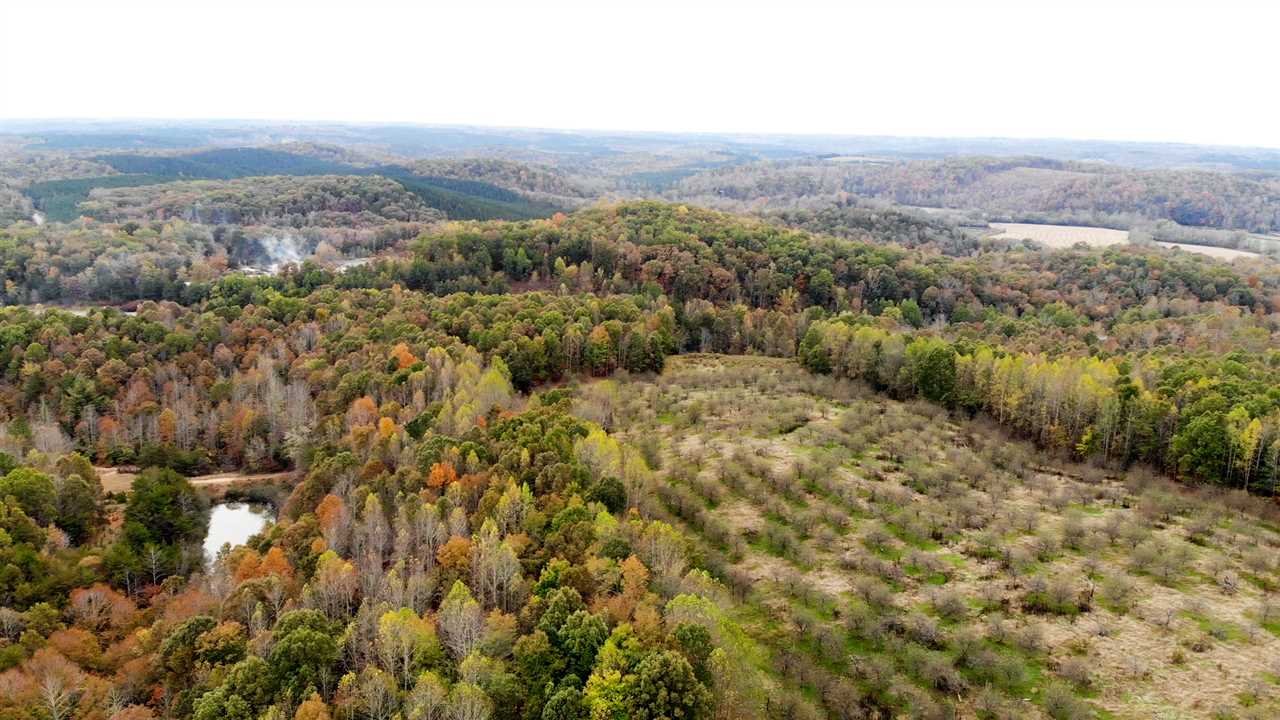 98-acres 98-acres Zion Road Rutherfordton, NC 28139 - Photo 15 of 22
