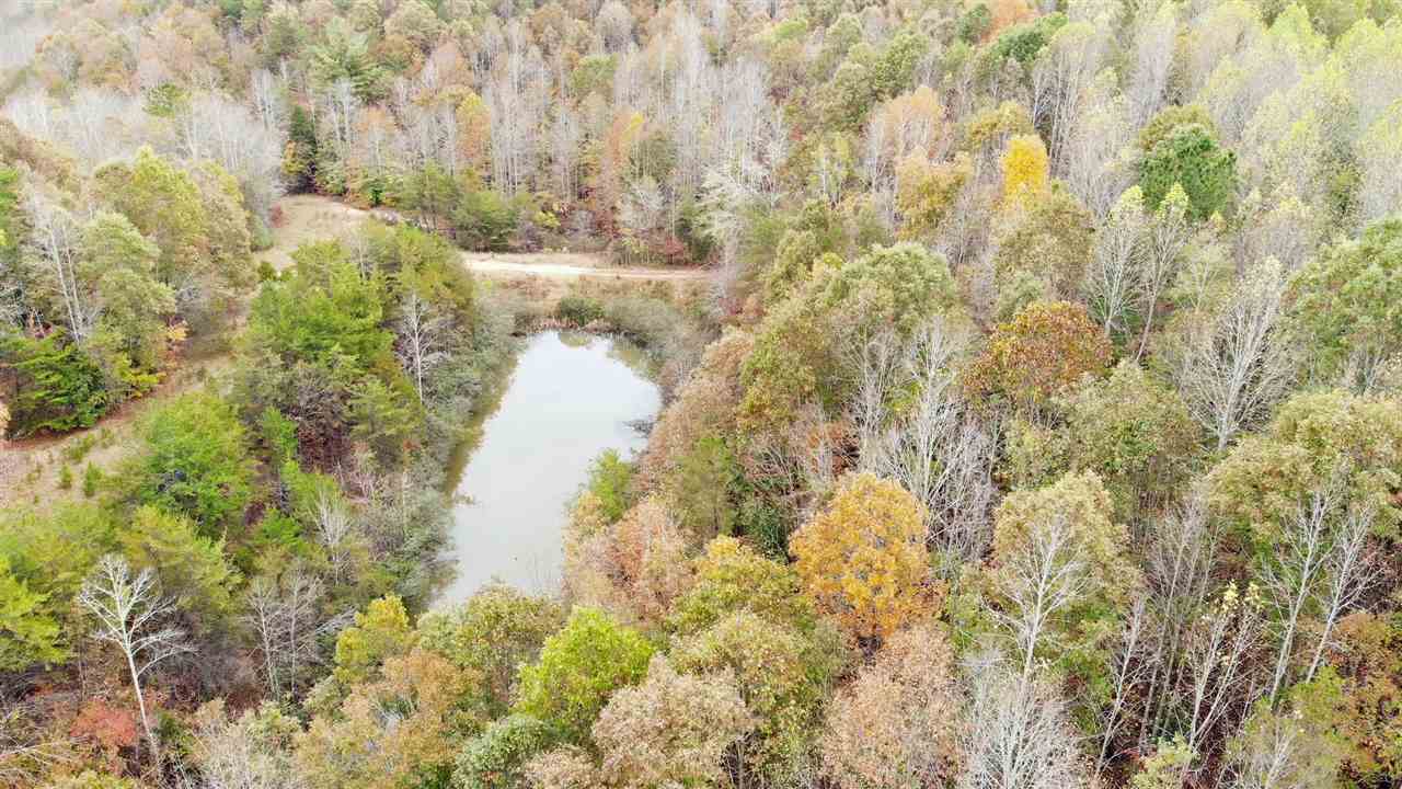 98-acres 98-acres Zion Road Rutherfordton, NC 28139 - Photo 16 of 22