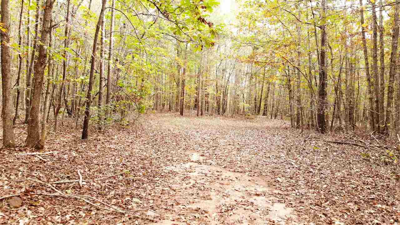 98-acres 98-acres Zion Road Rutherfordton, NC 28139 - Photo 20 of 22