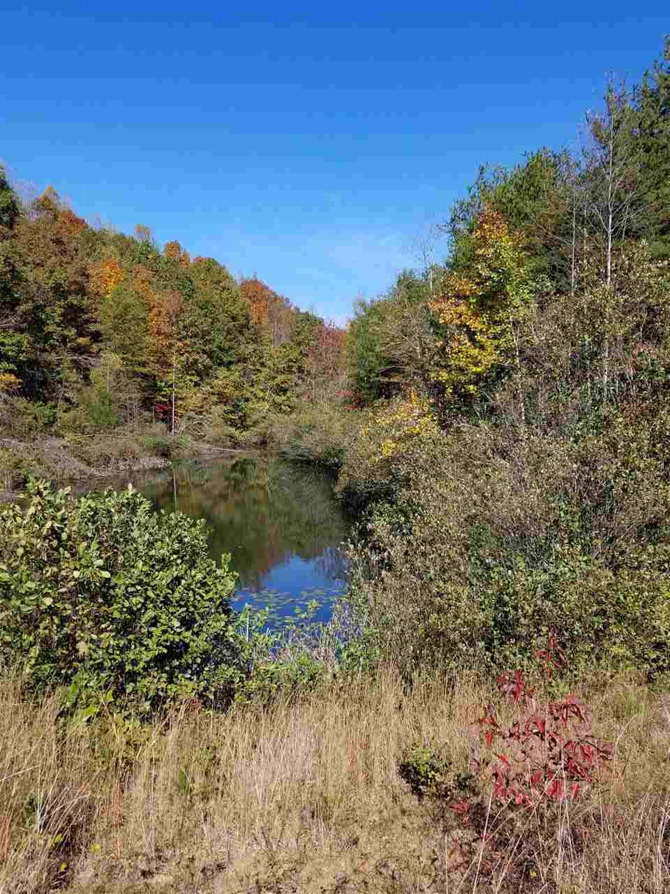98-acres 98-acres Zion Road Rutherfordton, NC 28139 - Photo 2 of 22