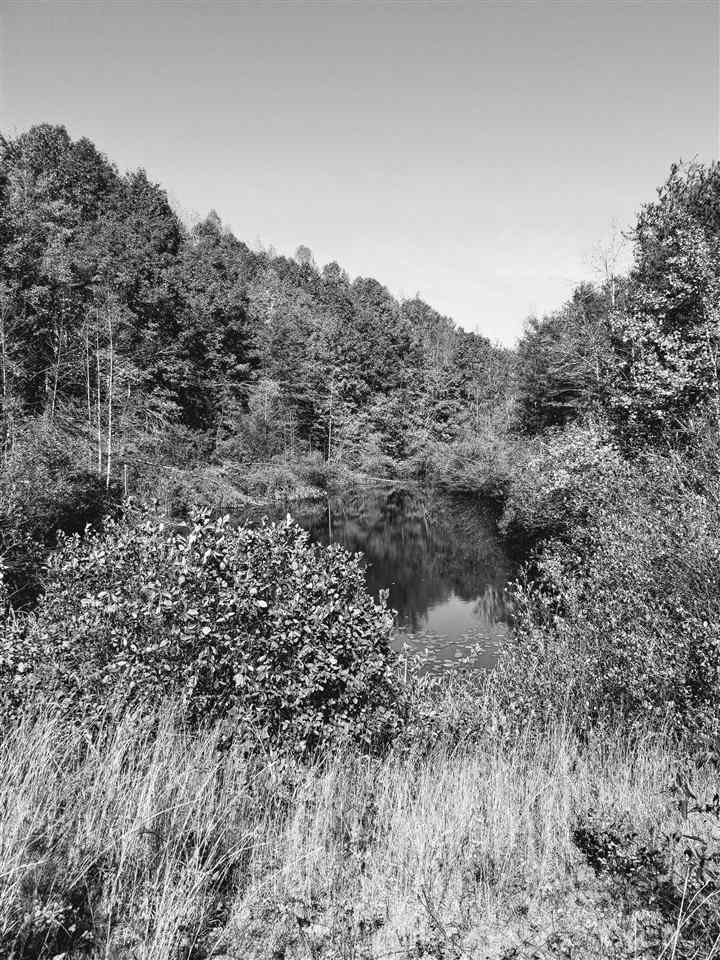 98-acres 98-acres Zion Road Rutherfordton, NC 28139 - Photo 22 of 22