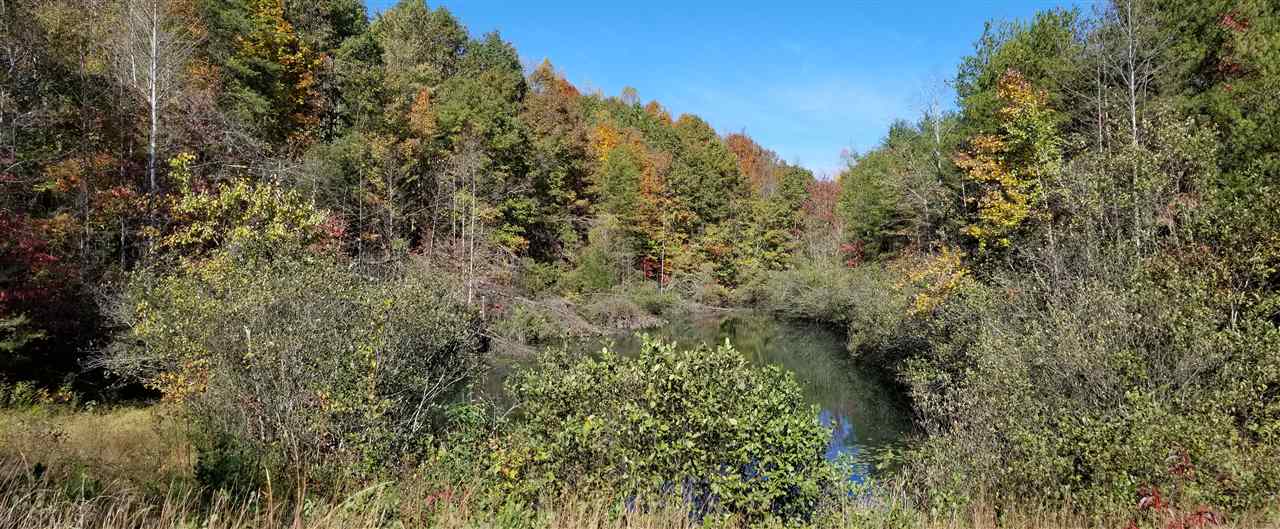 98-acres 98-acres Zion Road Rutherfordton, NC 28139 - Photo 3 of 22