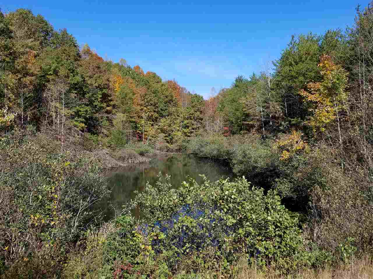 98-acres 98-acres Zion Road Rutherfordton, NC 28139 - Photo 5 of 22