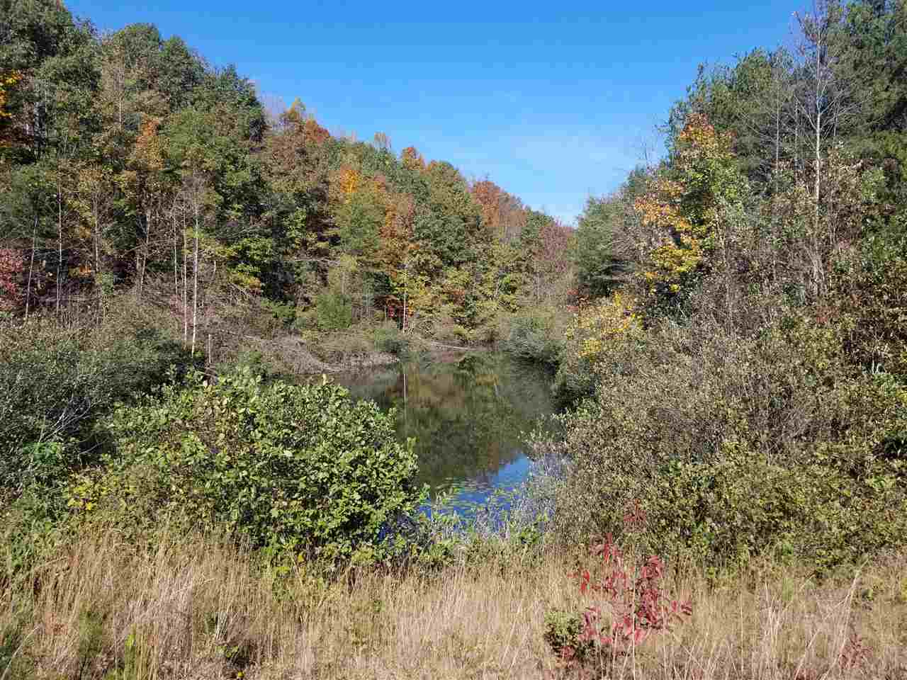 98-acres 98-acres Zion Road Rutherfordton, NC 28139 - Photo 7 of 22