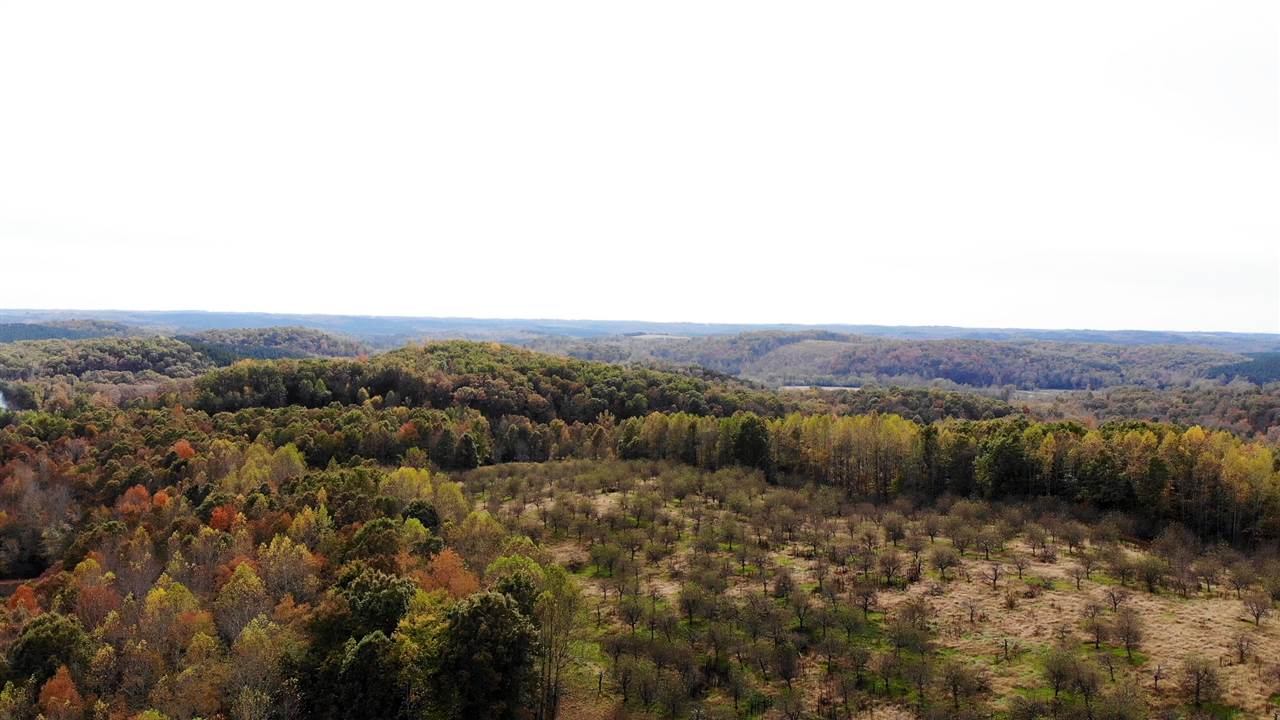 98-acres 98-acres Zion Road Rutherfordton, NC 28139 - Photo 8 of 22