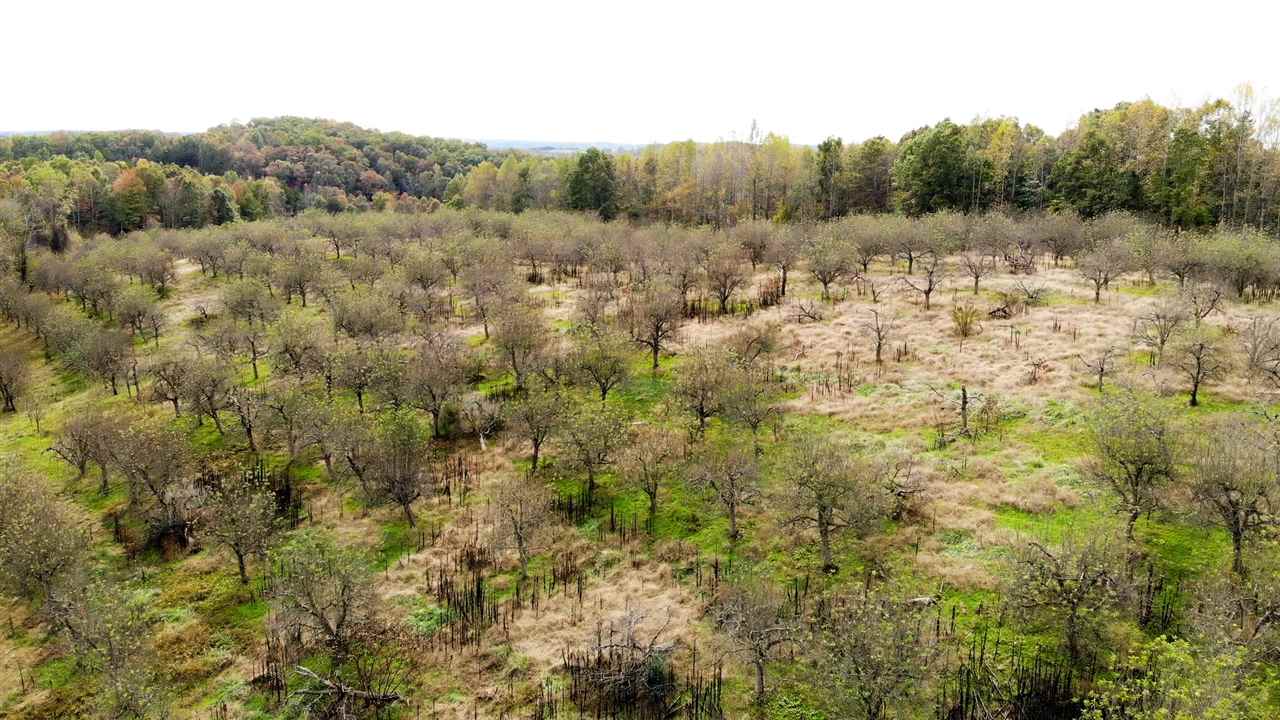 98-acres 98-acres Zion Road Rutherfordton, NC 28139 - Photo 9 of 22