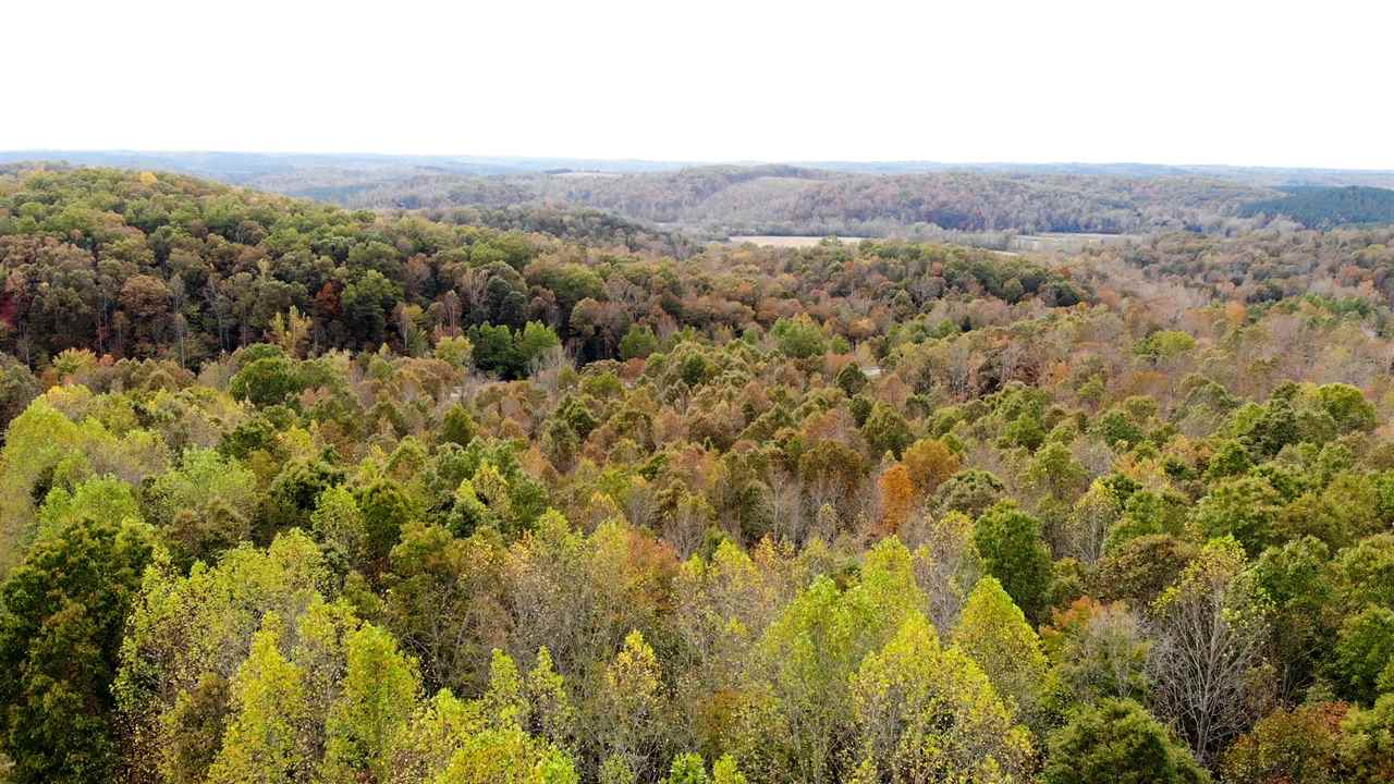 98-acres 98-acres Zion Road Rutherfordton, NC 28139 - Photo 10 of 22