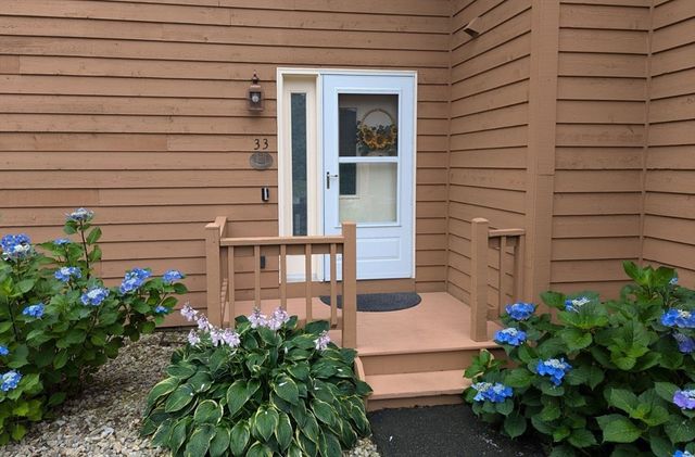 a potted plant sitting in front of a house