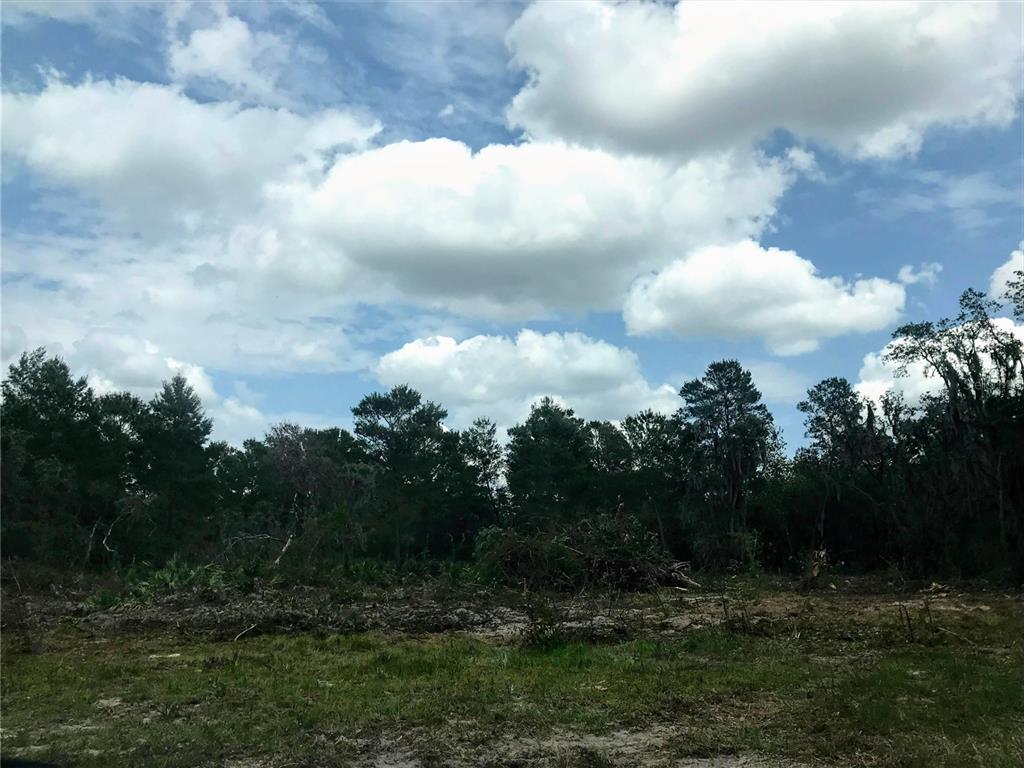 0 80 80 Foot Road Bartow, FL 33830 - Photo 4 of 6