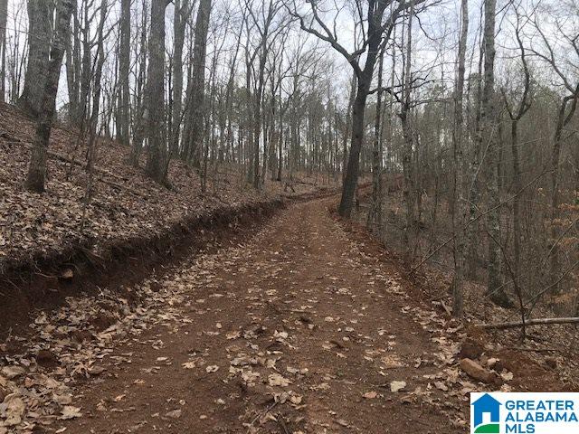 5300 Idaho Road, Unit 200 Talladega, AL 35160 - Photo 10 of 14