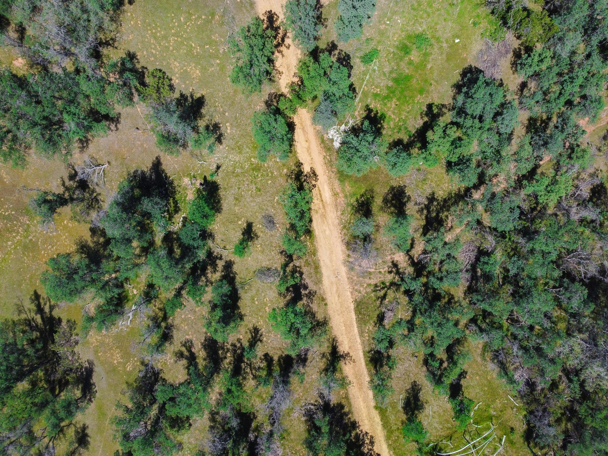 40 Two Feathers Road Igo, CA 96047 - Photo 16 of 16 DJI_0089
