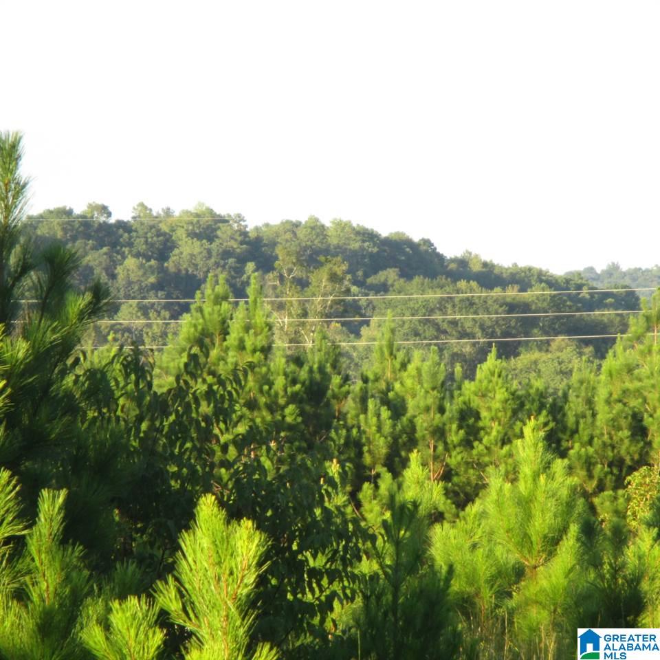 0 County Road 15, Unit 16 Cleveland, AL 35049 - Photo 1 of 5