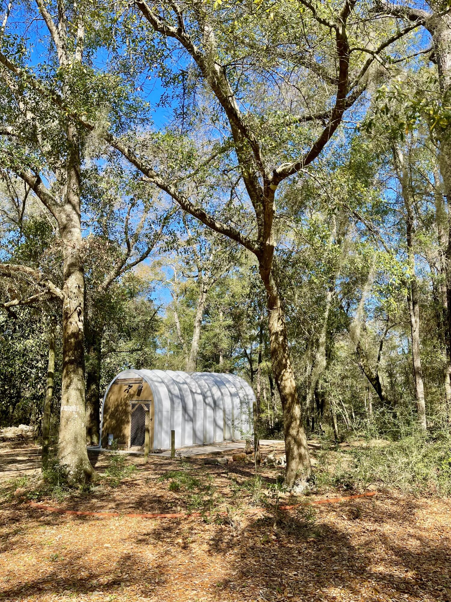 4.69 Acres Jv Woolley Road Crestview, FL 32539 - Photo 12 of 13 quonset conveys