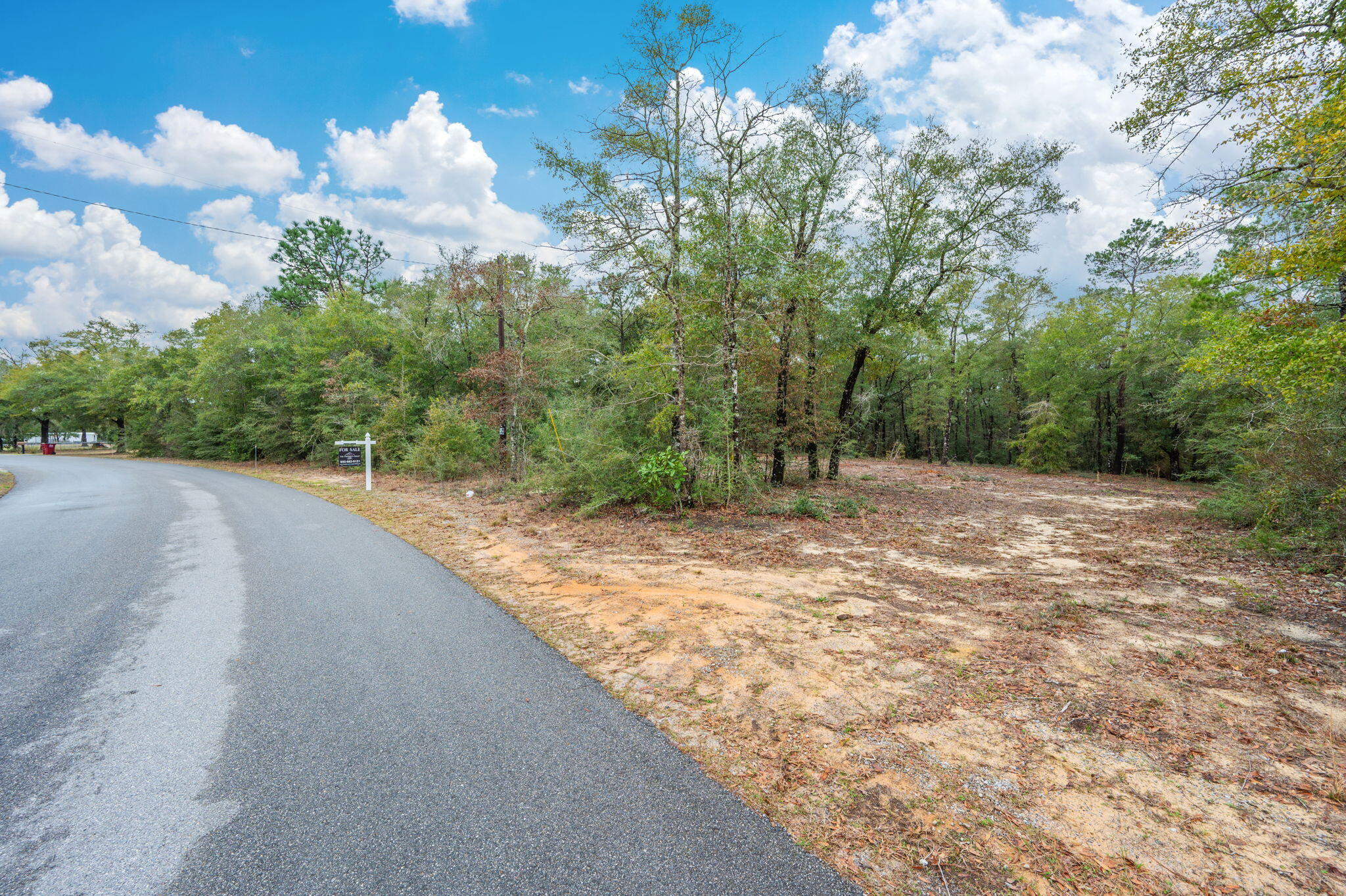 4.69 Acres Jv Woolley Road Crestview, FL 32539 - Photo 5 of 13 12-web-or-mls-jv-woolley-rd