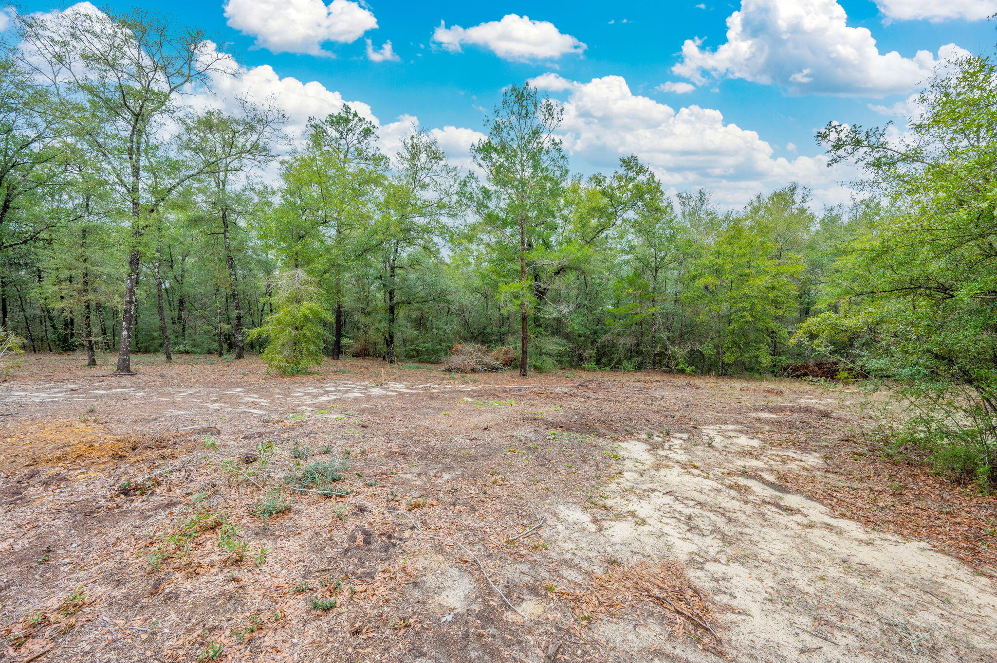 4.69 Acres Jv Woolley Road Crestview, FL 32539 - Photo 7 of 13 15-web-or-mls-jv-woolley-rd